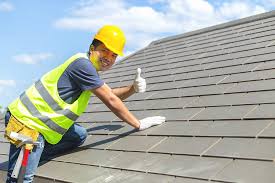 Best Roof Maintenance and Cleaning  in Bristol, IN